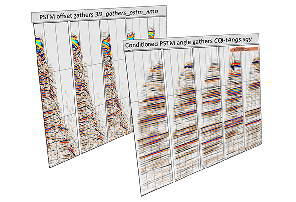 Conditioned PSTM angle gathers, courtesy Cross-QI.