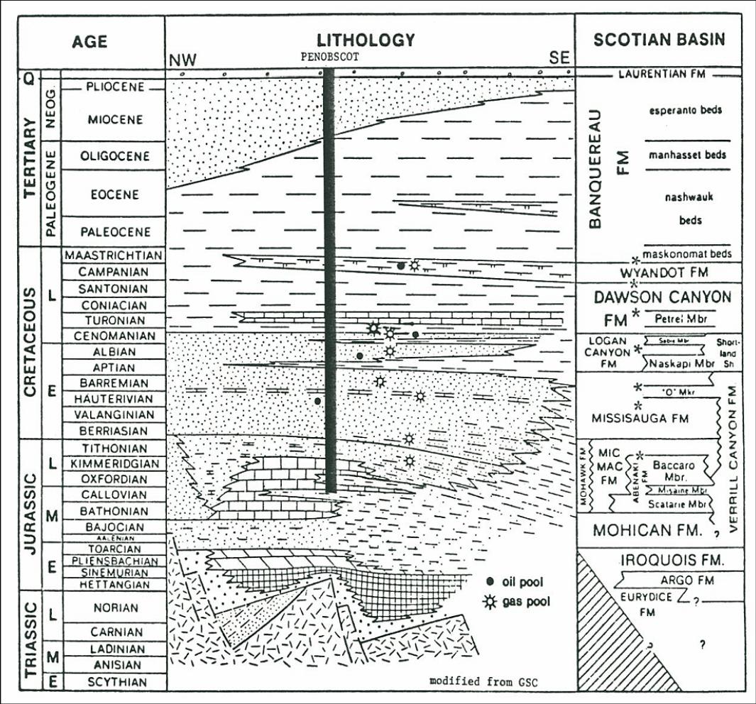 Stratigraphic Column